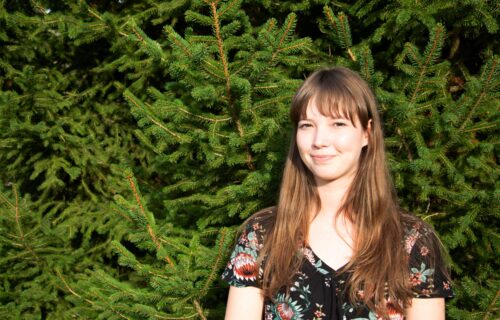 Szakmai építkezés önkéntesként