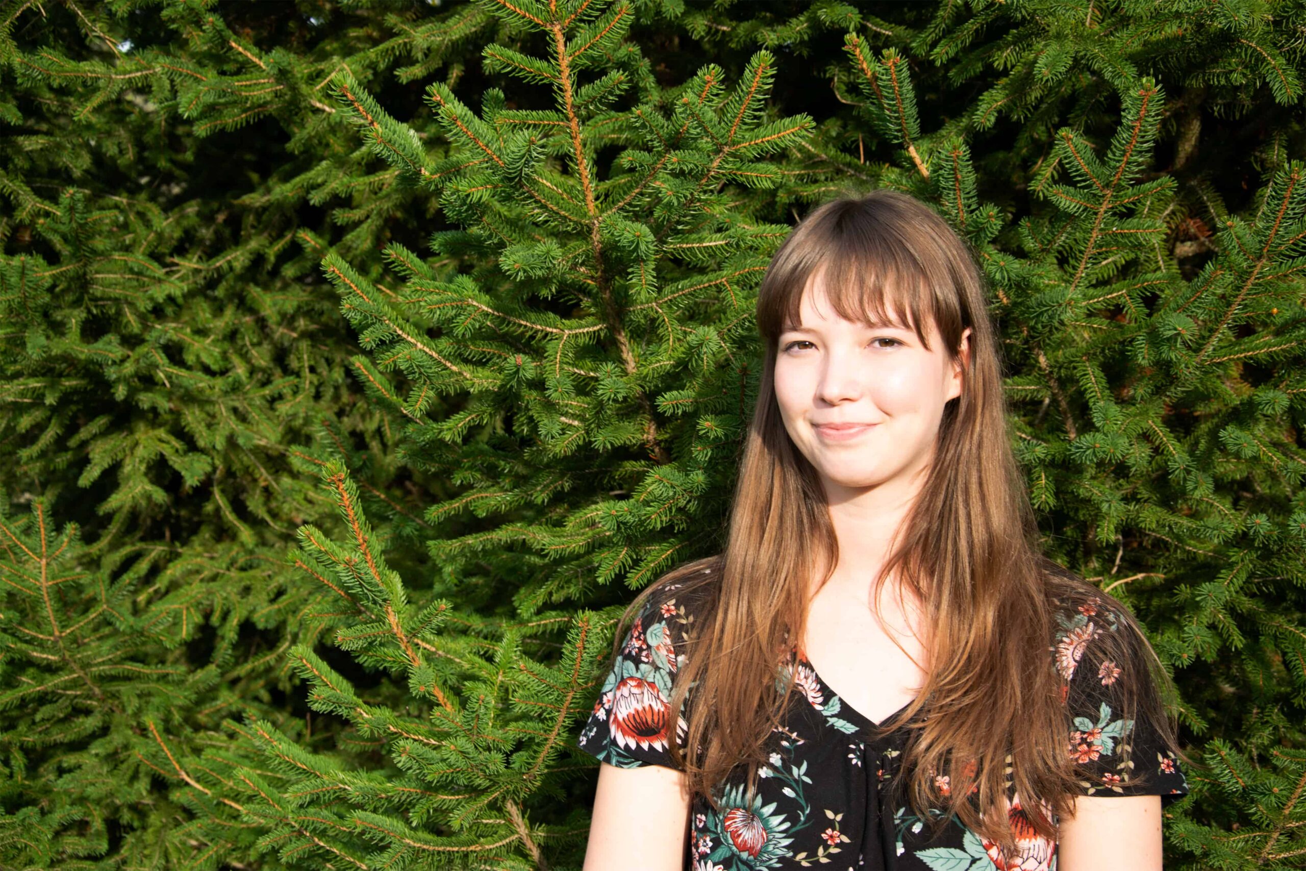 Szakmai építkezés önkéntesként